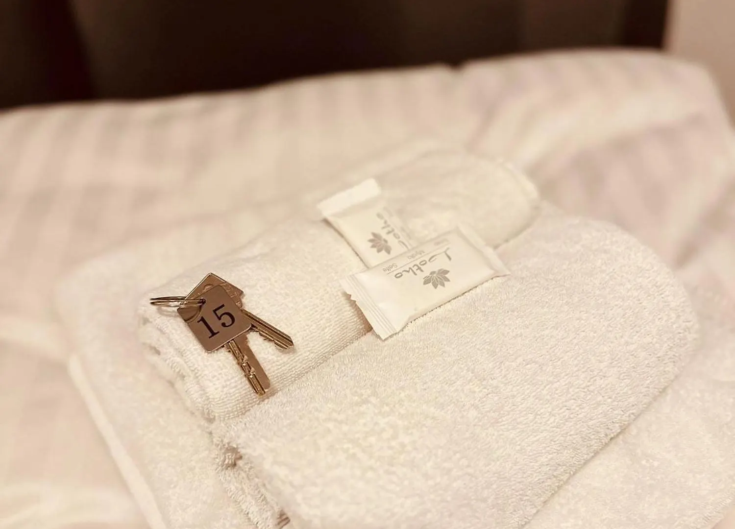 Hotel Bff Airport Messe Schlaf - Duesseldorf Germany